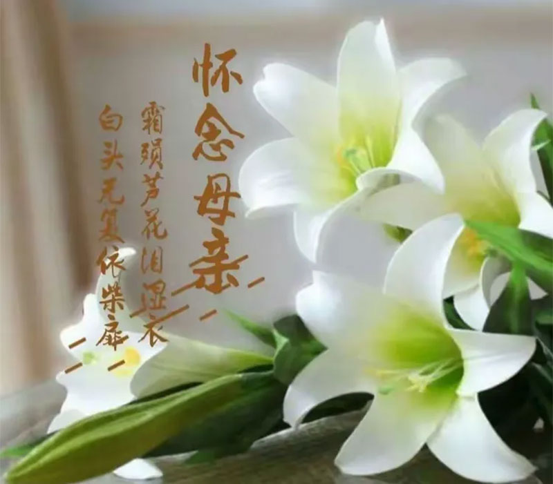 慈母仙逝对联与横批怎么写？慈母仙逝对联与横批示例