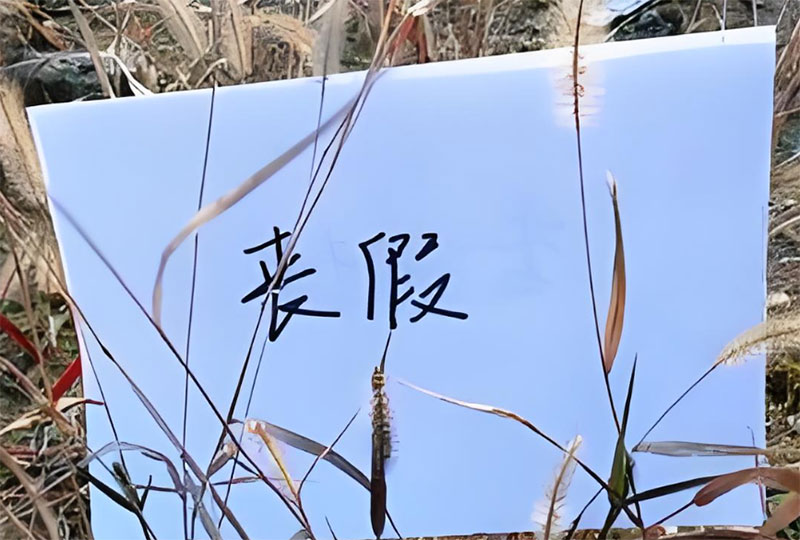 亲哥死亡有丧假吗?亲哥死亡的丧假规定 亲哥死亡有丧假吗?亲哥死亡的丧假规定