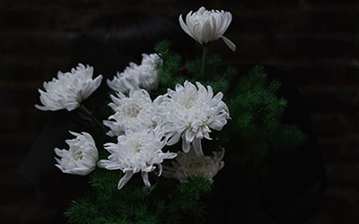 死前都会挣扎吗？临终前挣扎的原因详解