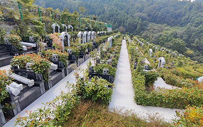 公墓费用中的滞纳金是什么？如何避免缴纳滞纳金？