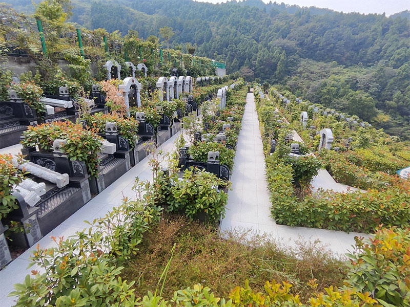 公墓费用中的滞纳金是什么？如何避免缴纳滞纳金？