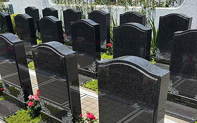 公墓资料怎么分类？有哪些重要的指导原则？