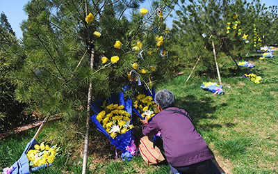 不办葬礼布告怎么写？不办葬礼布告的撰写指南