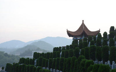 殡葬一条龙主要内容