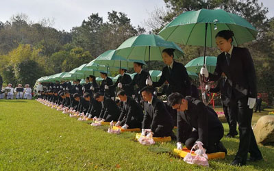 什么是生态安葬