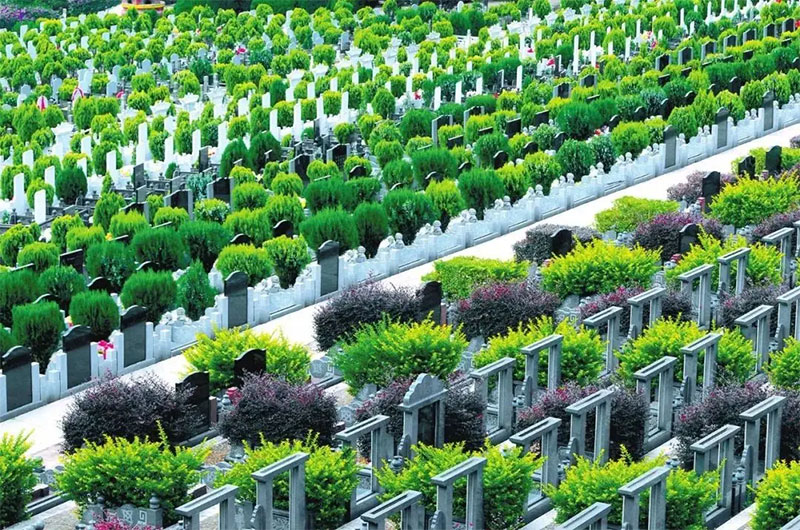 您应该了解的安葬习俗