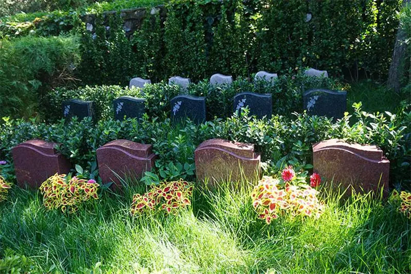 生态葬好不好？为什么越来越多的人选择生态葬？