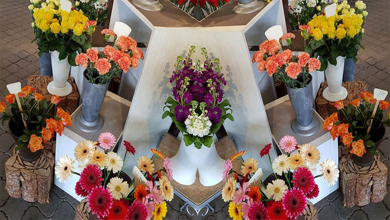 丧葬一条龙包括什么项目 丧葬一条龙包括什么项目