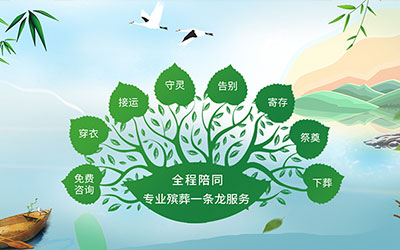 规范要求中哪些属于殡葬一条龙服务？