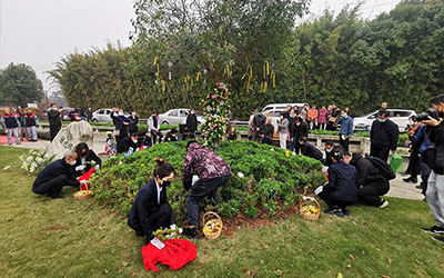 昆明树葬全部费用大概多少钱？