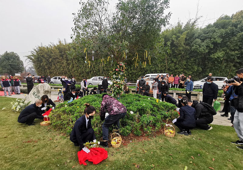 昆明树葬全部费用大概多少钱 昆明树葬全部费用大概多少钱