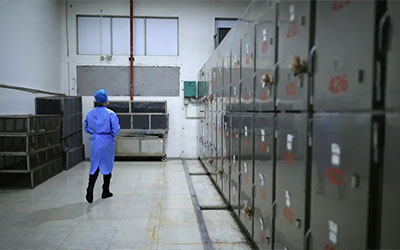 殡仪馆提供遗体冷藏服务收费多少？