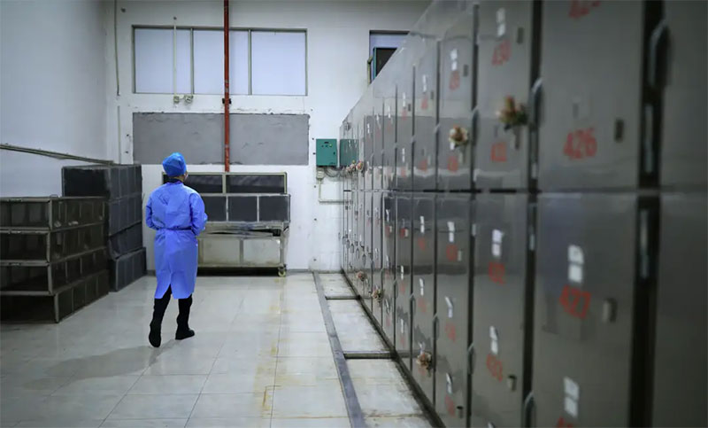 殡仪馆提供遗体冷藏服务收费多少