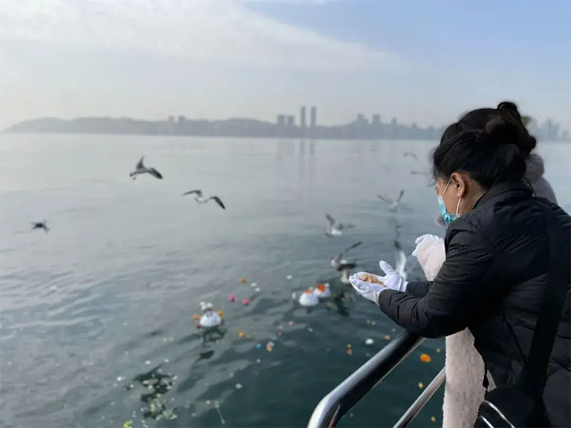 海葬指南：做出明智选择的必备知识