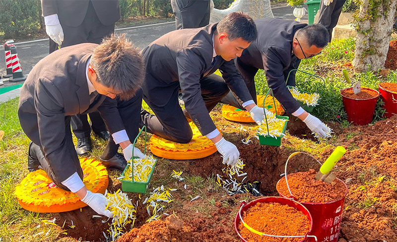 生态葬该如何选择 生态葬该如何选择