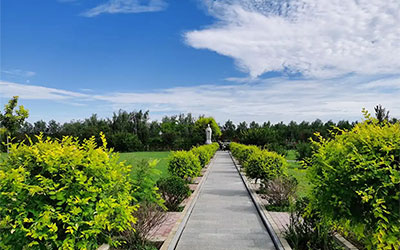 殡仪馆殡葬服务基本服务项目有哪些