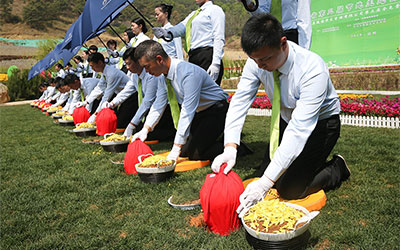 丧葬费用大致多少钱