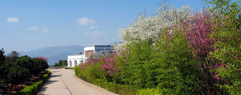 昆明宝象山公墓