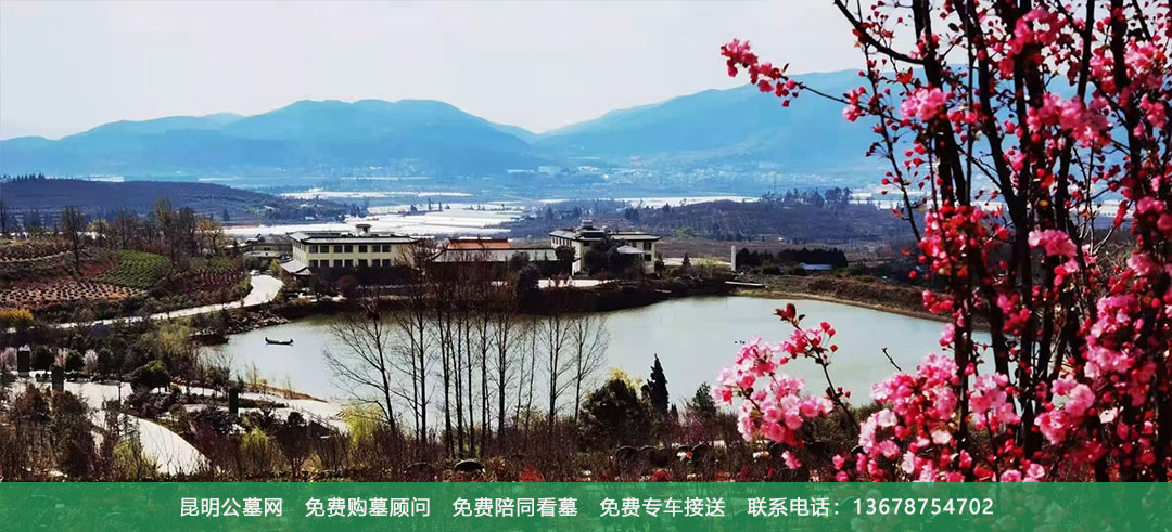 昆明青龙园公墓环境展示