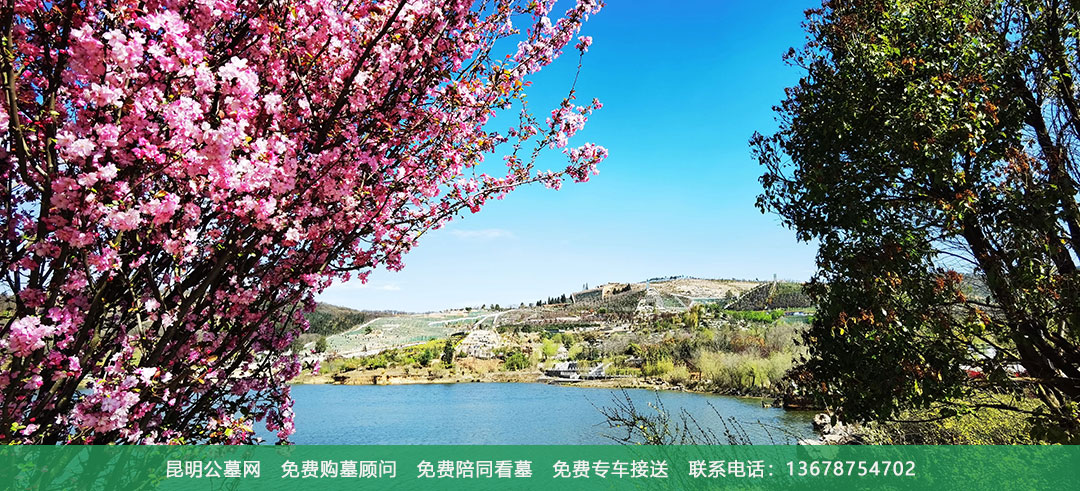 昆明青龙园公墓环境展示