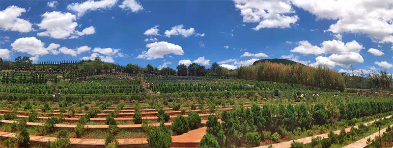 昆明宝象山公墓