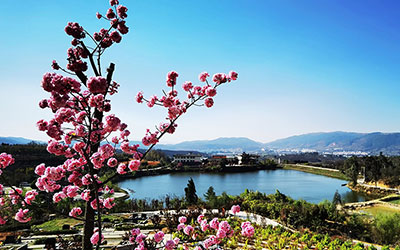 昆明青龙园公墓环境风景美图(值得收藏)