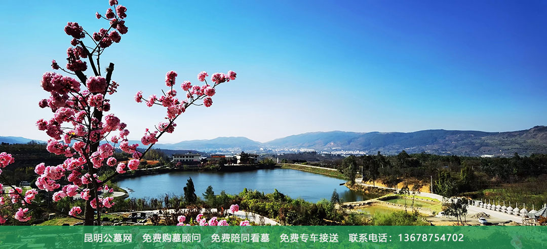 昆明青龙园公墓环境风景美图