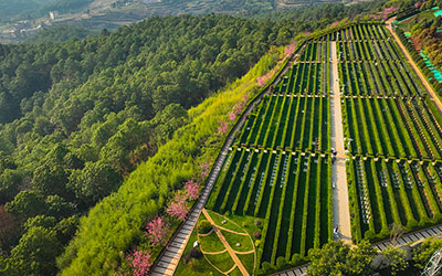 昆明抚仙湖人文纪念园公墓环境展示【高清图】