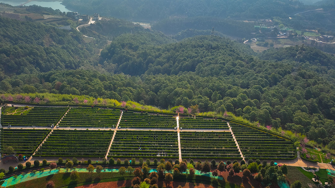 昆明抚仙湖人文纪念园公墓环境展示【高清图】