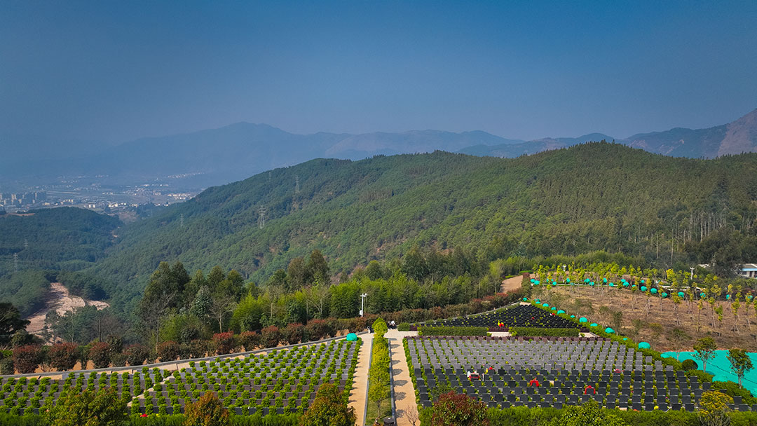 昆明抚仙湖人文纪念园墓区环境【高清图】