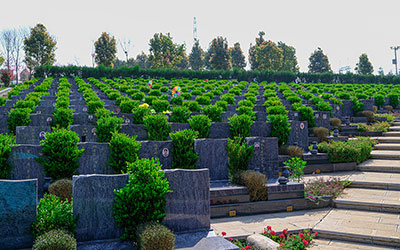 昆明抚仙湖人文纪念园墓地环境实拍实景