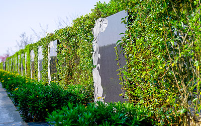 昆明抚仙湖人文纪念园墓碑墓型实拍