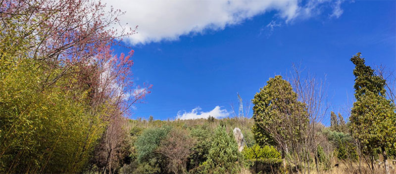 昆明宝象山公墓宝象园